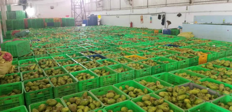 益陽瑪山產(chǎn)業(yè)機械有限公司，湖南益陽螺旋風(fēng)管廠家，熱風(fēng)食品烤房