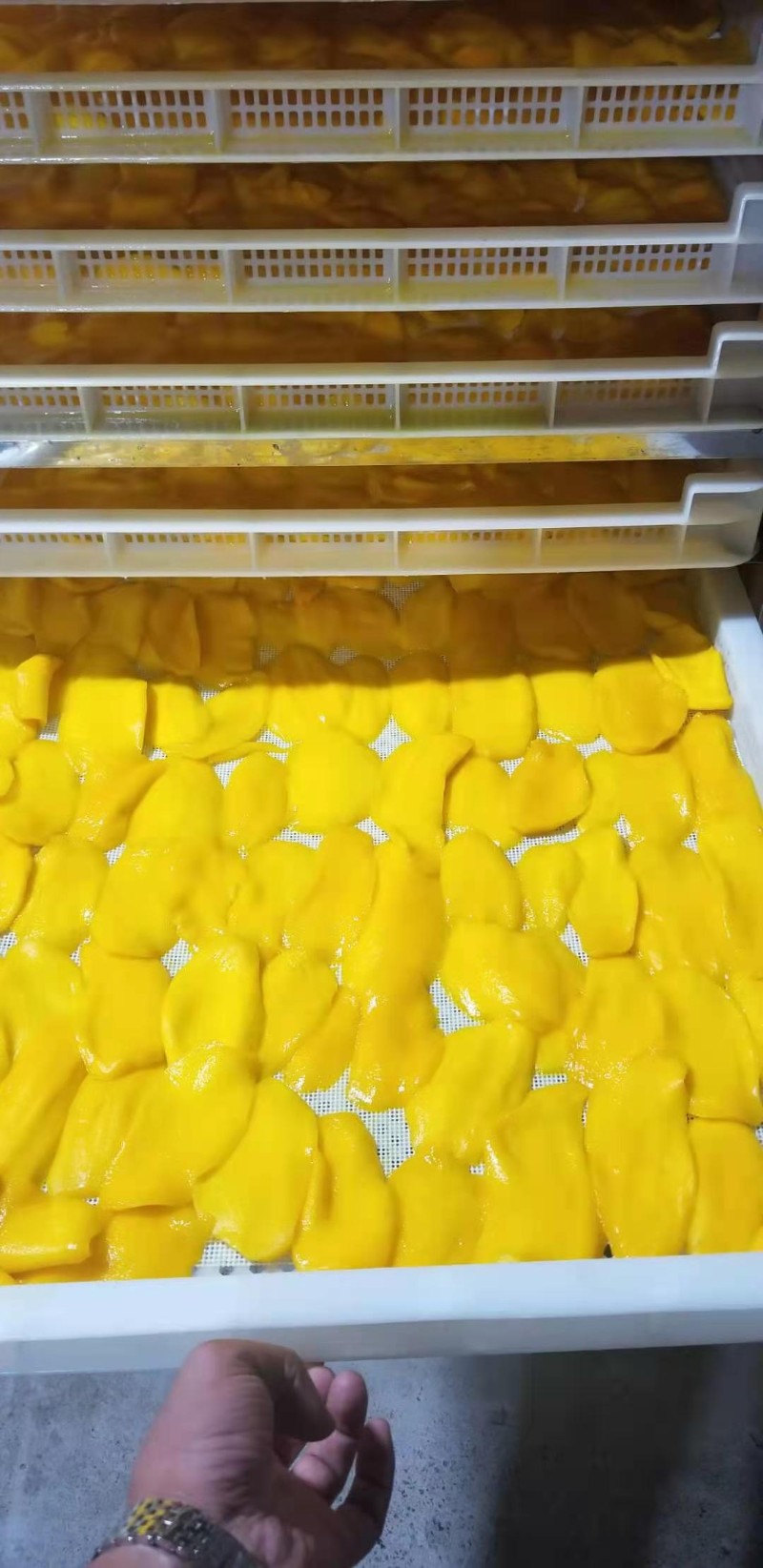 益陽瑪山產(chǎn)業(yè)機械有限公司，湖南益陽螺旋風(fēng)管廠家，熱風(fēng)食品烤房